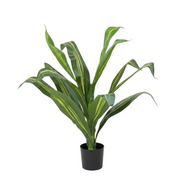 Artificial Corn Plant