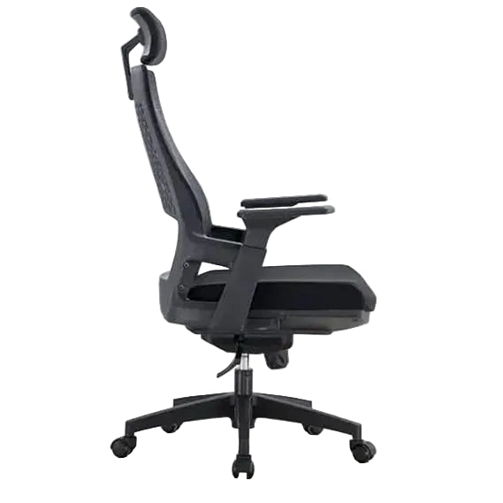 Double Sponge Executive Chairs - 840A