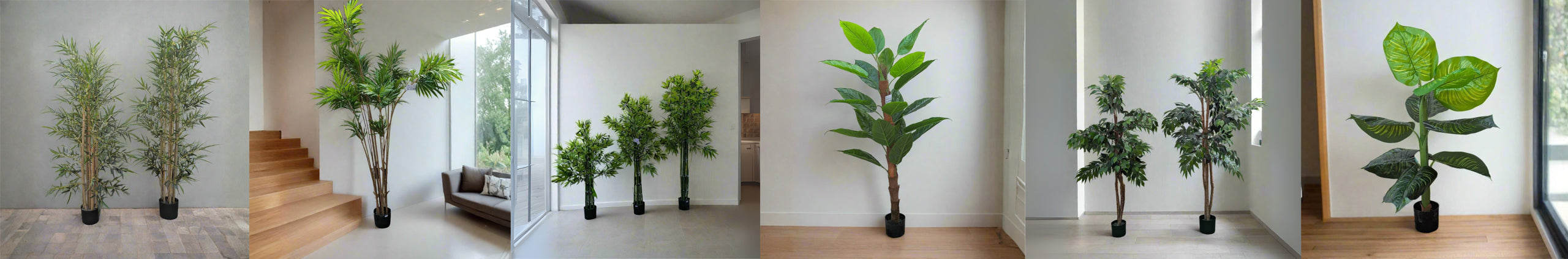 collection Artificial Plants